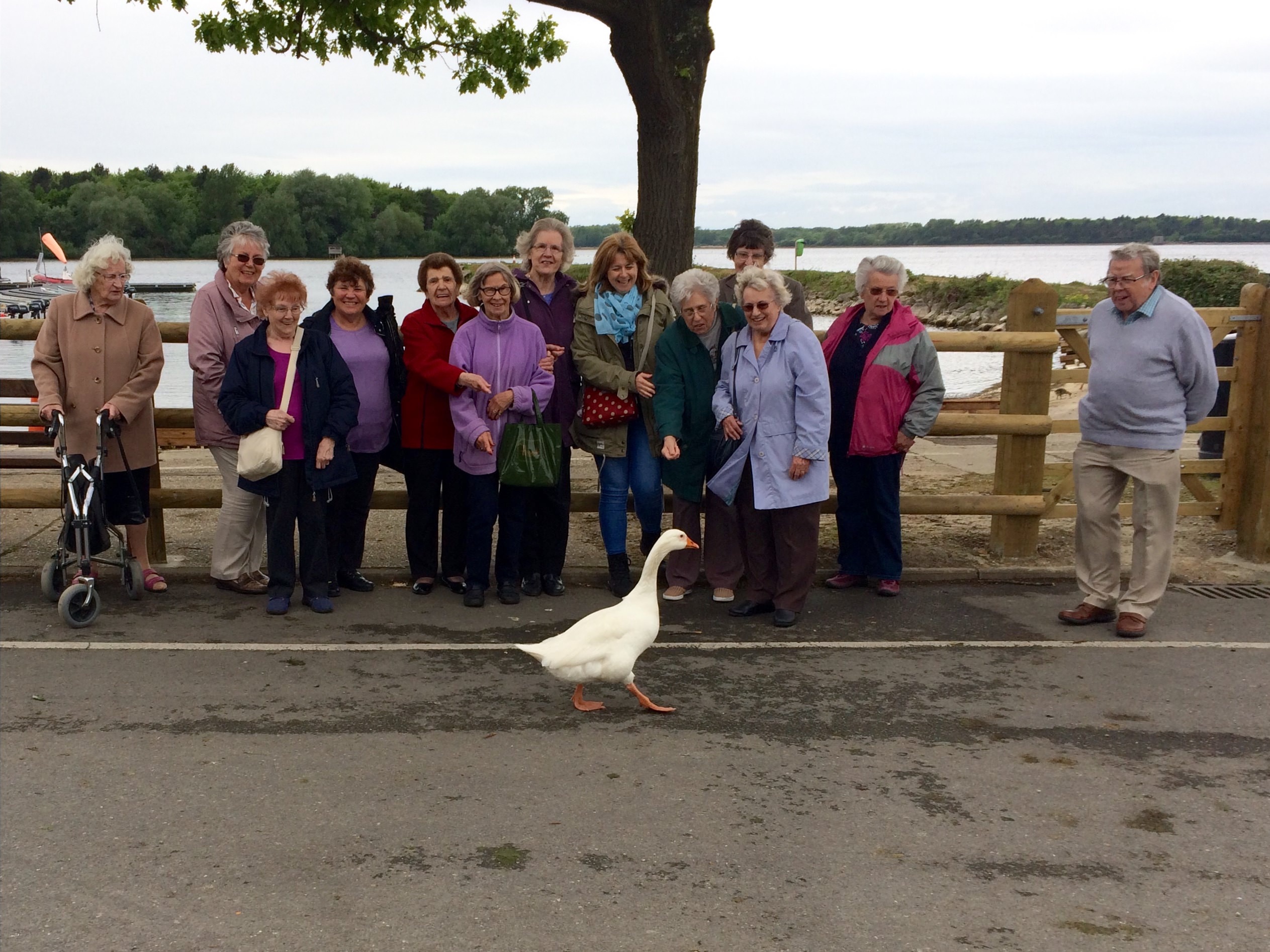 Womens fellowship cream tea outing